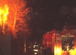 В Воронежской области молодая мать и два ребенка погибли в огне пожара