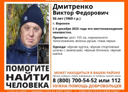 К автомобилистам обратились волонтеры после исчезновения воронежца 