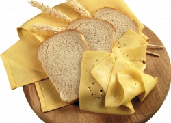 Воронежские пищевые предприятия пройдут экзамен на качество продукции