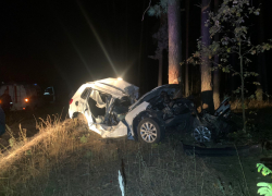 Опубликовано фото с места смертельного ДТП с деревом под Воронежем