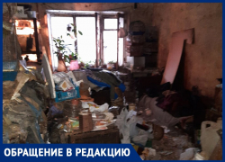 Гниющие животные вперемешку с живыми: в Воронеже вскрыли смердящую квартиру 
