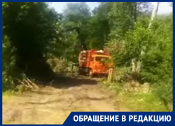  Повальную вырубку леса сняли на видео в Воронеже