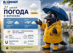 Лето ушло за хлебом: прогноз на ближайшие дни в Воронеже 