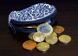 В Воронеже покупатели магазина помогли задержать воровку 