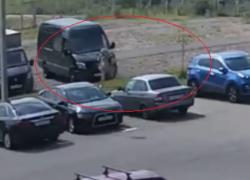 Зверское нападение собаки на девушку сняли в Воронеже