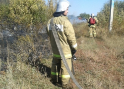 Десятки человек тушат лесной пожар в Воронежской области