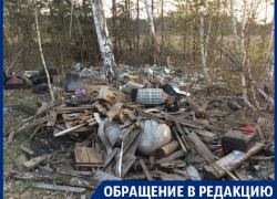 Воронежская элита захламила окраину города зловонным мусором