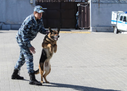 Гараж в Северном превратили в склад "левого" табака на 4,5 млн рублей