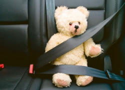 Килограмм амфетамина в плюшевом мишке перевозила девушка 