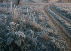 Синоптики сообщили о заморозках на предстоящей неделе в Воронежской области