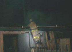 В Воронежской области загорелся сарай с 30 ульями