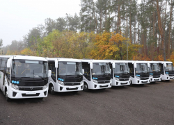 10 новых автобусов вышли на маршрут в Воронеже