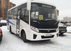 Воронежское правительство озаботилось «аварийным» дублёром частных перевозчиков 