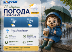 Осенняя хандра просочилась в прогноз погоды в Воронеже