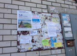 Алексей Гордеев зовет воронежцев на выборы 