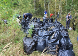 Воронежцев позвали на массовую уборку