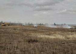 О массовой вырубке и сжигании деревьев сообщили воронежцы