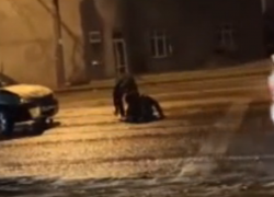 Пьяный водитель улегся посреди дороги, устроив ДТП в Воронеже 