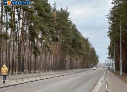 Названа дата введения зимнего скоростного режима на трассе М4-«Дон» в Воронежской области