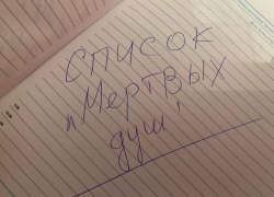 «Мертвые души» нашли в воронежском техникуме 