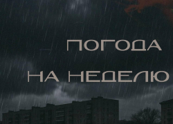 Неделя мокрых трусов: когда закончится дождь в Воронеже?