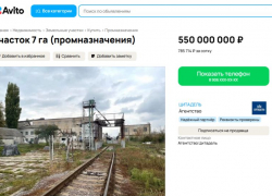 Землю с элеваторным комплексом продают за полмиллиарда рублей под Воронежем
