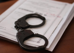 Нерадивую мать осудят за нападение на полицейского в Воронежской области