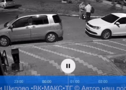 Всему двору устроили концерт жители Шилово