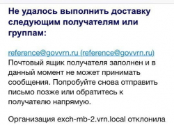 Воронежцы предполагают, что Алексея Гордеева отрезали от виртуальной связи с жителями региона