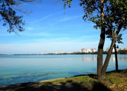 Воронежский губернатор пожалел водохранилище