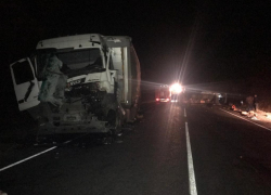 Последствия смертельного ДТП с грузовиками показали в Воронежской области