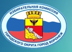 Первая партия выдвинулась на выборы в Воронежскую гордуму