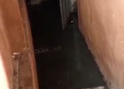 «В квартирах дышать невозможно»: на видео попал затопленный фекалиями подвал в Воронеже