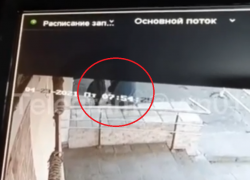 Избиение 11-летнего ребенка взрослым мужчиной заинтересовало воронежских следователей