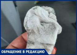 Маршрутку депутата Крутских пристыдили за грязную поездку в Воронеже 