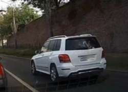 Девушку на Mercedes оштрафовали в Воронеже после жалобы в чат-бот ГИБДД