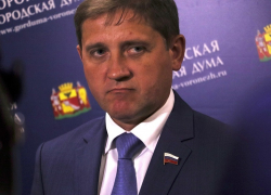 Депутат гордумы Воронежа похвалил мэрию за ответственный подход к бюджету