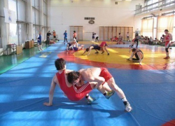 Воронежские спортсмены завоевали шесть медалей на чемпионате по вольной борьбе 