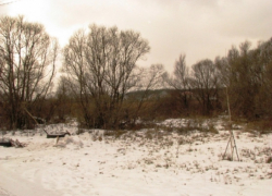 Замерзший труп мужчины нашли в камышах под Воронежем