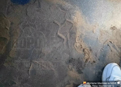 "Пыльный разврат" заметили в воронежском автобусе