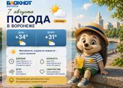 Пик жары сменится дождем на выходных: прогноз погоды в Воронеже