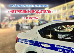 Полицейские анонсировали рейды на воронежских дорогах в ночь на 23 августа