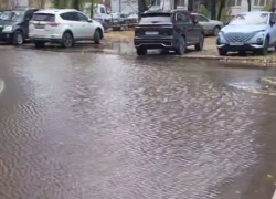 Позор у дорогостоящего стадиона показали в Воронеже 