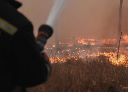 Самолеты и пожарных из шести регионов срочно вызвали для борьбы с огнем в Воронежскую область