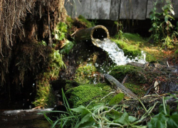 Роспотребнадзор: из пяти родников в Воронежской области воду можно пить лишь в одном