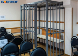 Воронежца задержали за домогательства до ребенка 