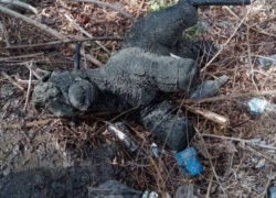Необычный предмет достали из канализации в Воронеже