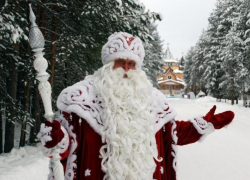 Визит Деда Мороза обойдется воронежцам в 1377 рублей