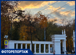 Неподдельную красоту показали на фото в Воронеже 