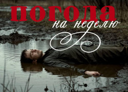 Погода в Воронеже плачет за всех нас: прогноз на неделю